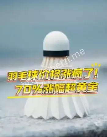 羽毛球价格上涨原因