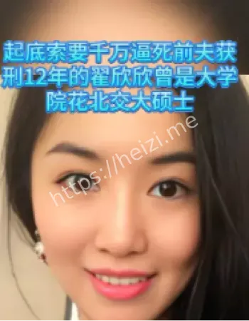 翟欣欣敲诈勒索案