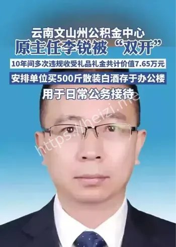 文山州李锐案通报